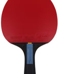 Butterfly Dimitrij Ovtcharov Sapphire Table Tennis Bat