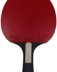Butterfly Dimitrij Ovtcharov Diamond Table Tennis Bat