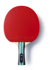 Team Butterfly Advance Table Tennis Bat