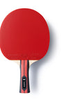 Team Butterfly Champion Table Tennis Bat